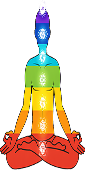 Best doctors for psychotherapy in Mohali — one-to-one psychotherapy session at Osho Space