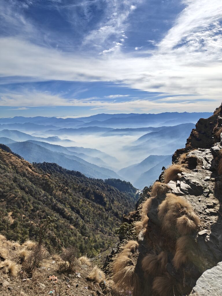 Best counselling services in tricity — group meditation session at Osho Space